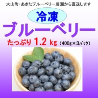 ブルーベリー（冷凍） １.２kg