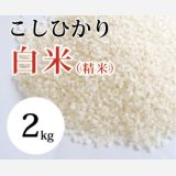 大山町産こしひかり【大山の一粒】(白米） 2kg （令和6年 大山町産）