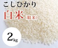 大山町産こしひかり【大山の一粒】(白米） 2kg （令和6年 大山町産）