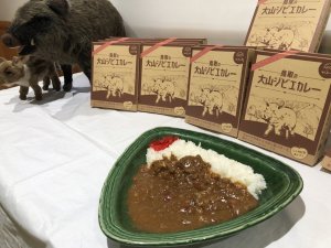 画像2: 【オリジナル商品】大山ジビエカレー