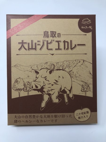 画像1: 【オリジナル商品】大山ジビエカレー (1)