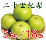 ＜先行予約販売＞鳥取県大山町産・二十世紀梨（20世紀梨）最高ランク “赤秀” 5kg 詰 （１８玉入/Ｌサイズ）【８月下旬頃より順次発送】