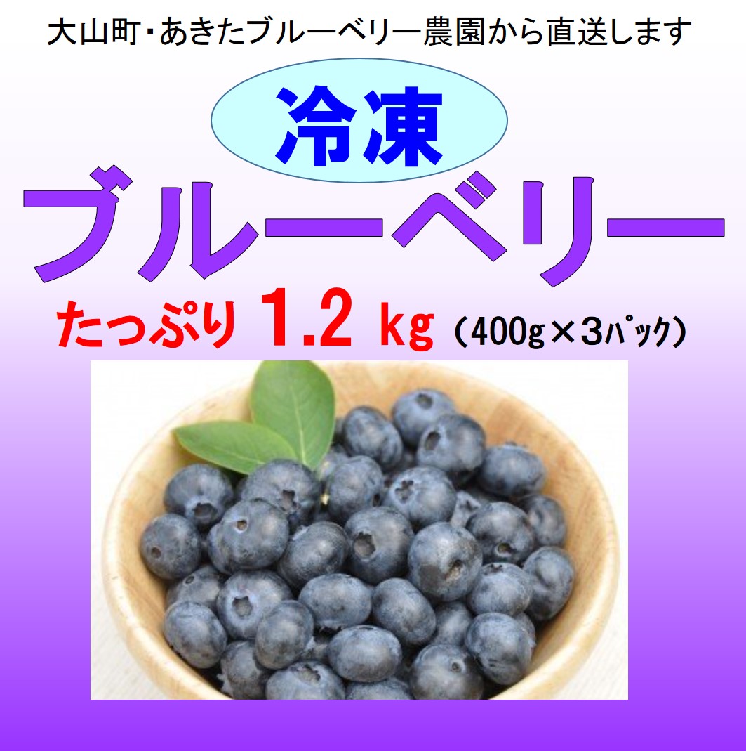 大山恵みの里 通販サイト:ブルーベリー（冷凍） １.２kg