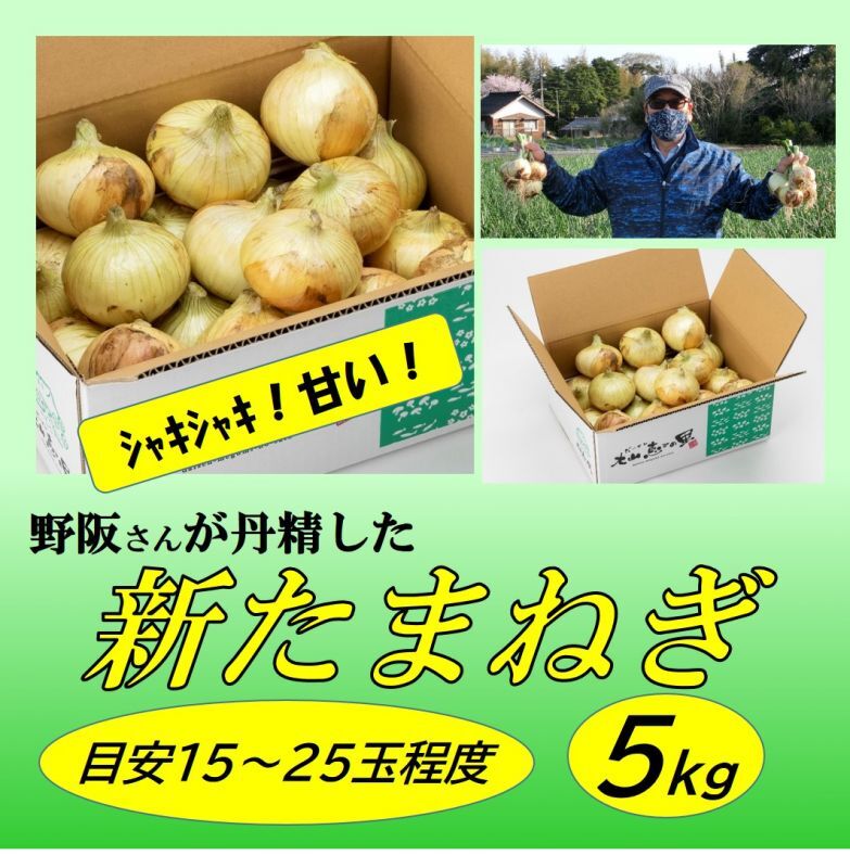 大山恵みの里 通販サイト 大山の新玉ねぎ 5kg箱