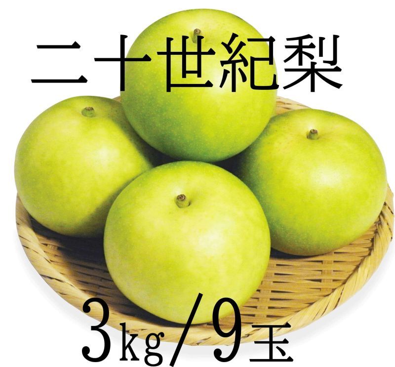 鳥取県産  二十世紀梨
