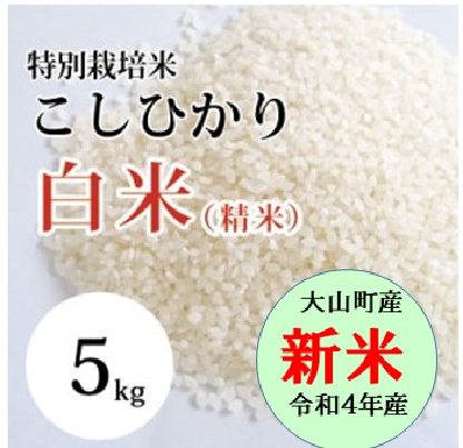 大山山麓特別栽培 野菜4-5品 卵10個 特別栽培米コシヒカリ2kg送料込 - 野菜