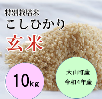 減農薬、天然山水かけ流し栽培】令和4年こしひかり玄米10kg×2袋(精米