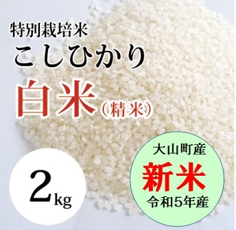 大山恵みの里 通販サイト:特別栽培米こしひかり(白米） 2kg （令和5年